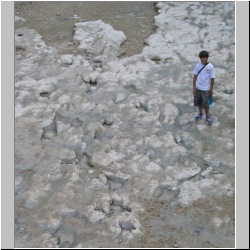 100_0750 (2009-27-07)m.jpg